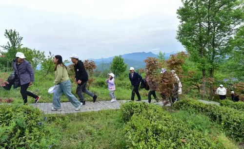 五一 假期,广元青川全力保障旅游服务